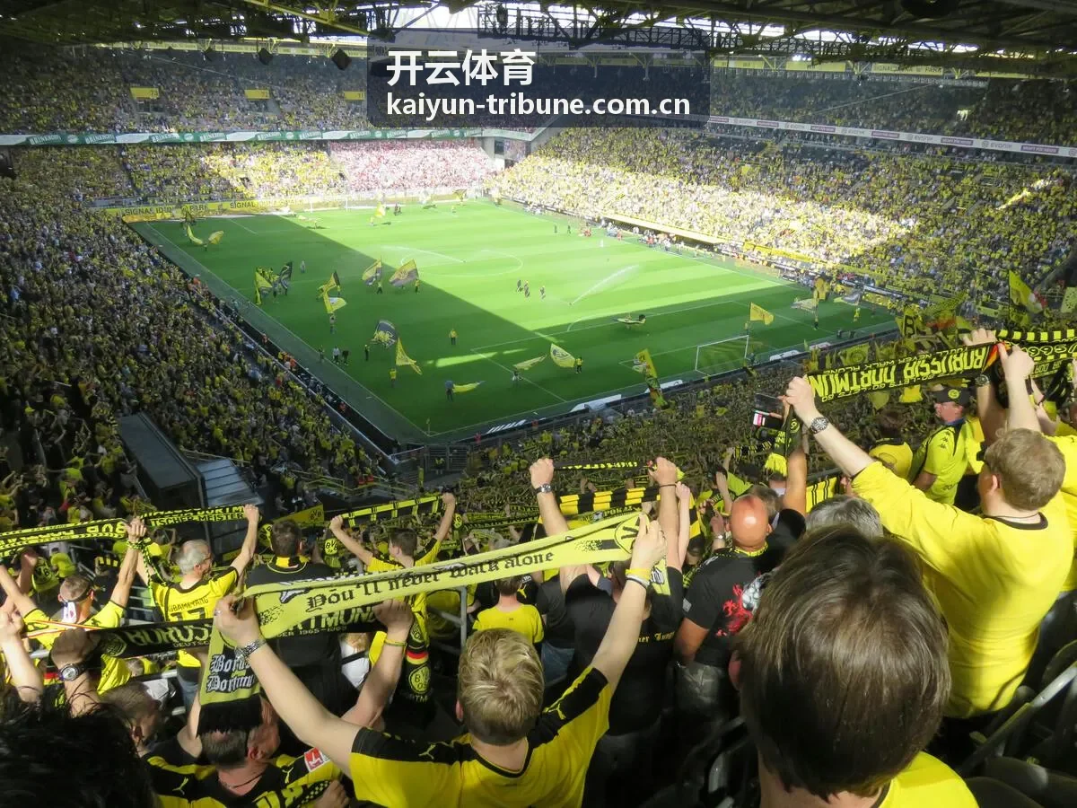 开云体育品牌故事与体育现场